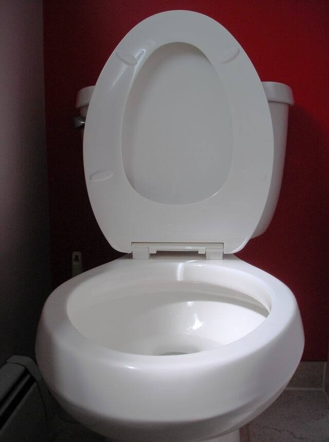 How to Unclog Cat Litter from a Toilet
