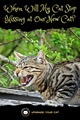 when-will-my-cat-stop-hissing-at-our-new-cat-upgrade-your-cat