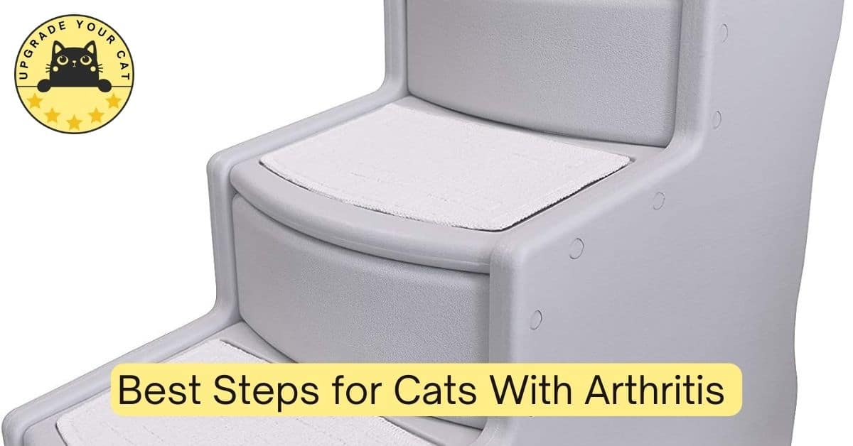 Best Steps for Cats With Arthritis