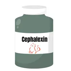 Cephalexin Dosage For Cats