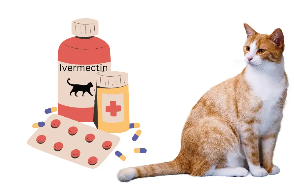 Ivermectin Dosage For Cats